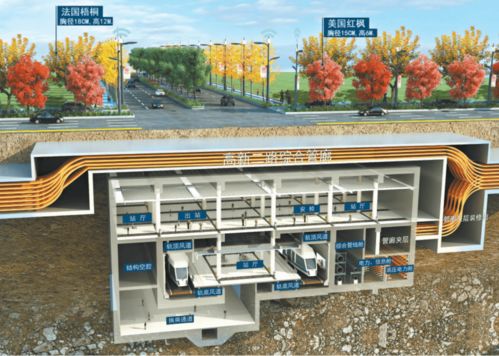 市政道路主干道顺利竣工，城市发展再添新动力